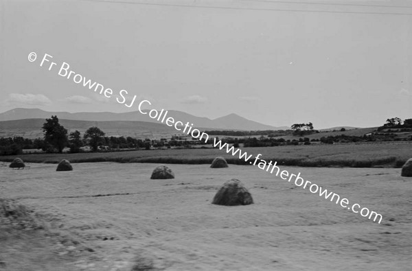 THINGS I SEE FROM THE TRAIN HARVEST TIME IN TIPPERARY SEEN FROM TRAIN BETWEEN EMY?? & JUNCTION